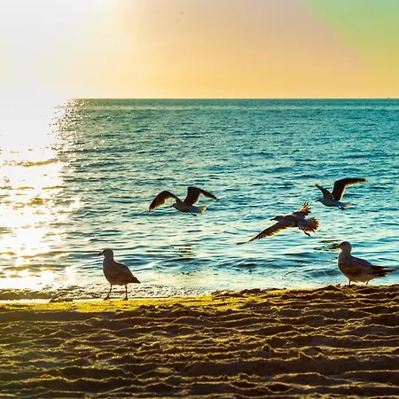 Hotel Cliff Ruegen Sellin (Rugen)