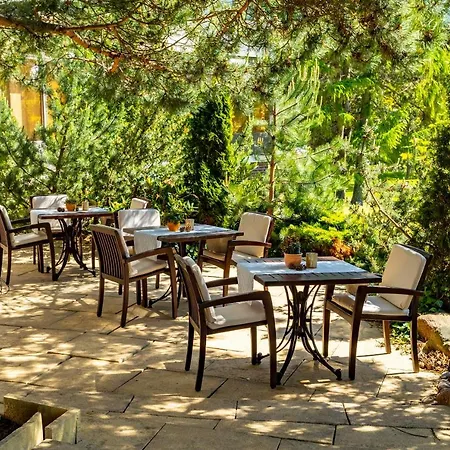 Hotel Cliff Ruegen 4*