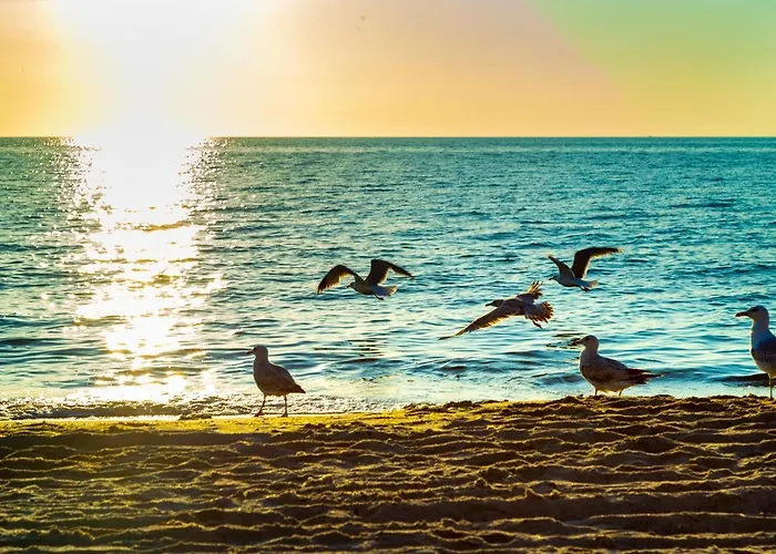 Hotel Cliff Ruegen Sellin (Rugen)