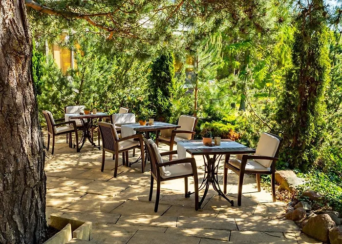 Hotel Cliff Ruegen 4*